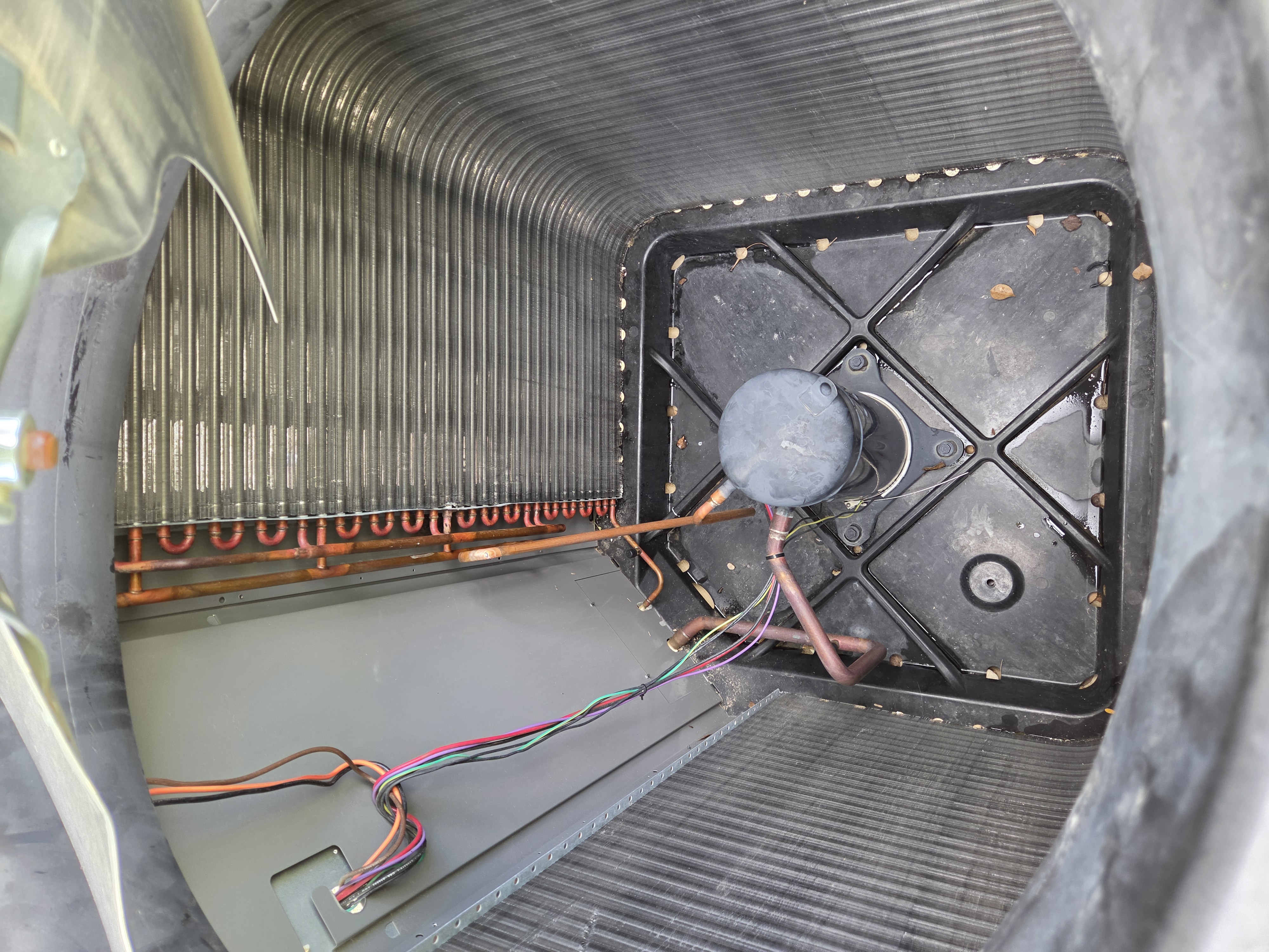 Condenser interior and coil after cleaning