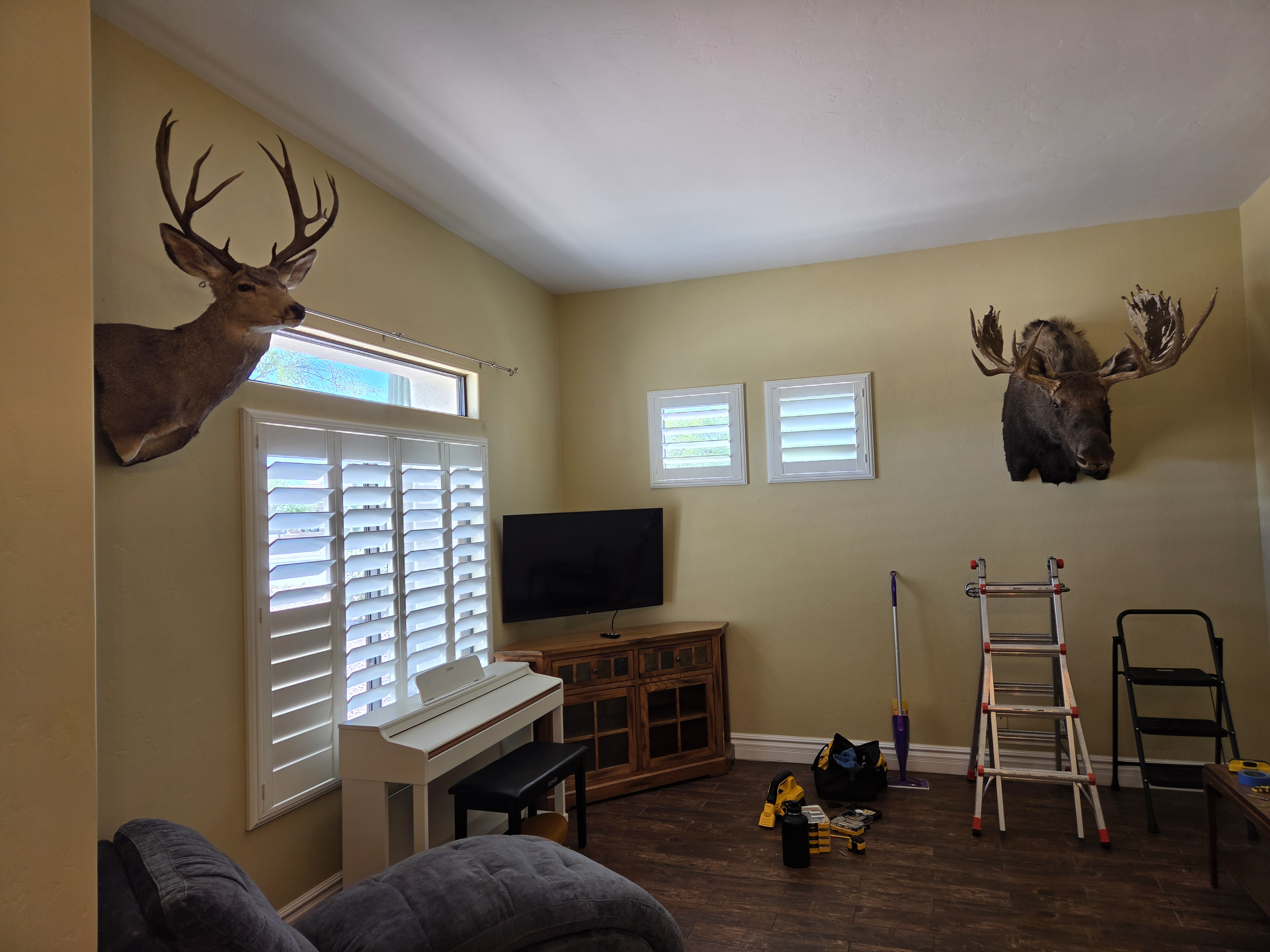TV and taxidermy mounts installed and leveled in room