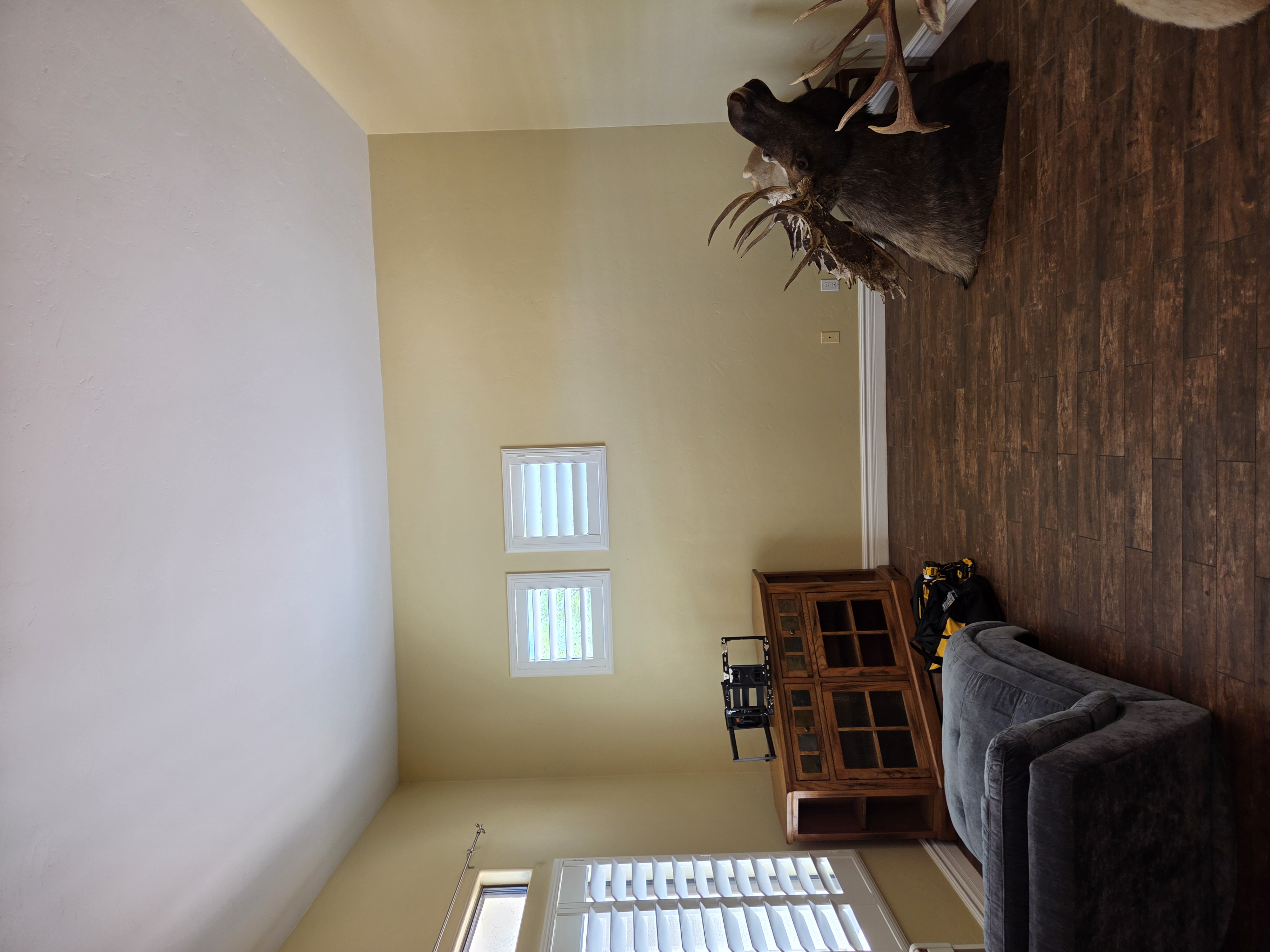 Room before TV and taxidermy mount installation