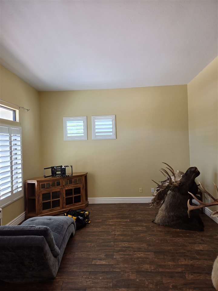 Room before television and taxidermy wall mounting
